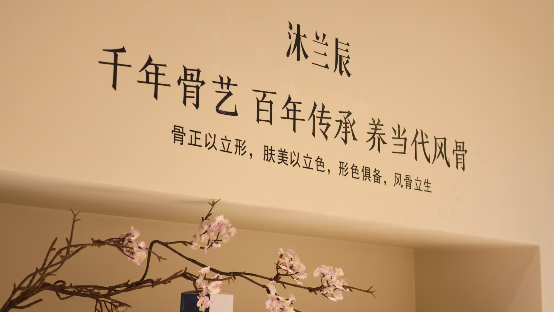 1. 面部美学管理 